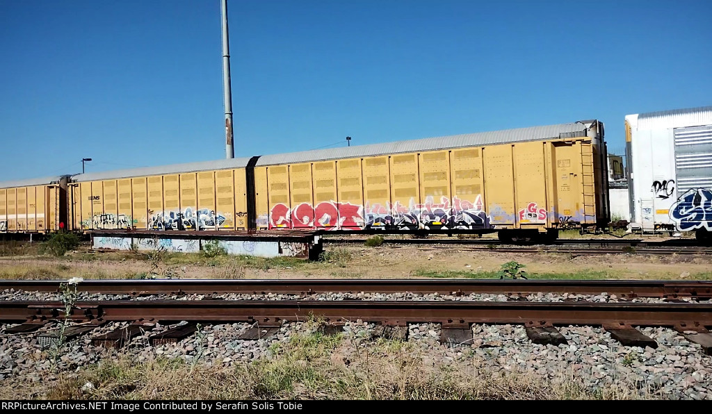 NS 110463 Con Grafiti 